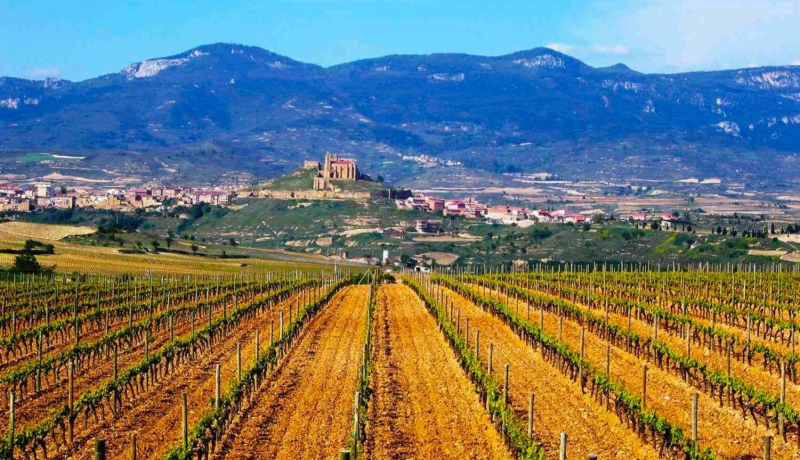 Rioja Wine Region