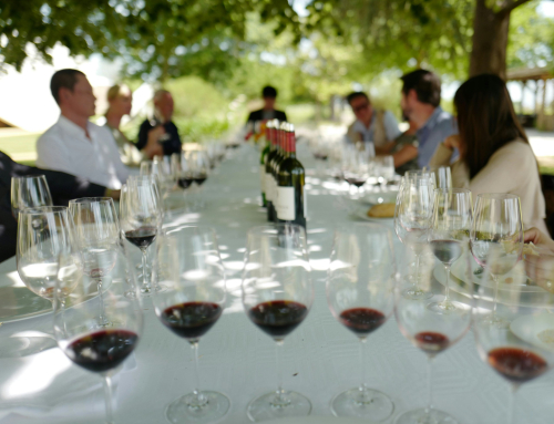 Tasting Blind: The Sommelier’s Grid and the Art of Not Knowing